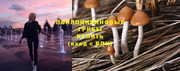 амф Ростов