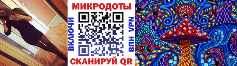 наркота Весьегонск Псилоцибиновые грибы Magic Shrooms